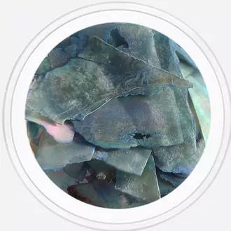 Artex, Ракушка натуральная серо-голубая №5 (2 г)