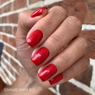 Iva Nails, Гель-лак Red Queen №3 (8 мл)