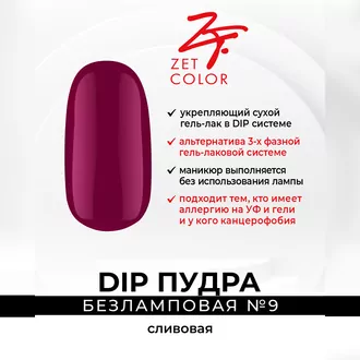 Zet Color, DIP Пудра №9 сливовая (6 г)