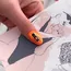 Swanky Stamping, Авторский набор Nellyteslenko for Swanky Stamping