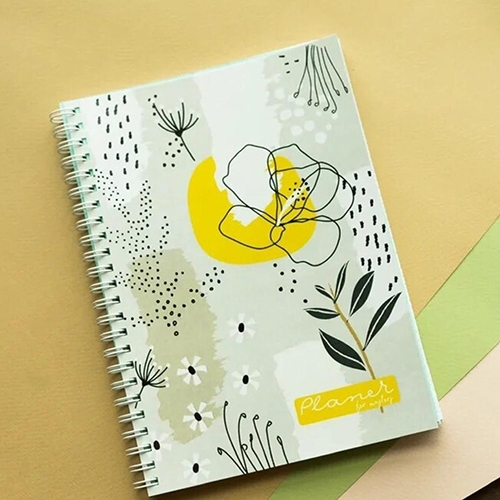 Planer for masters, Планер №1