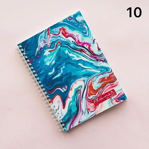 Planer for masters, Планер №10